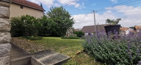 photo no. 9
