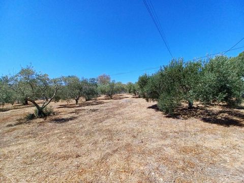 Opportunity, also in a quiet area. Plot with 1.360 sqm of land located on the outskirts of Sao Bras de Alportel, about 2 minutes by car from amenities, 20 minutes from the beach, and 20 minutes from the airport. The plot has an approved project for t...