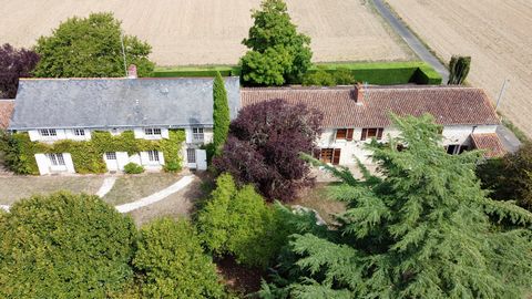 Two adjacent 4 bed houses (approx. 193m² and 214m²) or a main house and a gite or 2 main houses. Excellent renovations which has kept original features. Outbuildings (approx. 110m²). Above ground pool for gîte. On approx. 2700m² of land. No near neig...