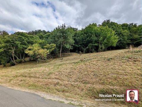 Proprietes-privees - Nicolas PROUST invites you to discover a building plot 20 minutes from Tours center. At the entrance to the city of Savonnières, this sloping plot of about 3164 m² is a great opportunity to accommodate your project to build a det...