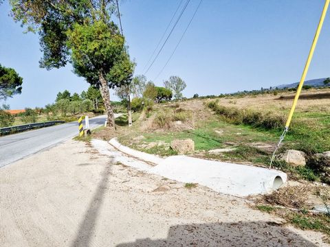 Terreno potencial comercial/industrial (pavilhão) ou para projeto rural/agrícola. Ótima localização com acesso da EN 17, perto da cidade Gouveia e do nó rodoviário Gouveia/Seia, Mangualde, Celorico Zona Envolvente Espaços Verdes / Hipermercado / Tran...