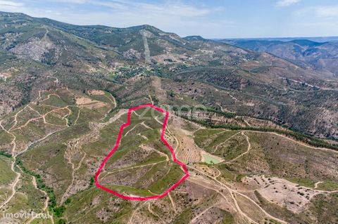 Property ID: ZMPT559015 Rustic land with 81,000 m², Monchique. Come and visit this rustic land with 81,000m², located in the parish of Alferce, in the Serra de Monchique, perfect for those looking for an excellent investment opportunity in the agricu...