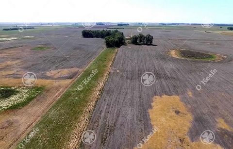 MIXED FIELD IN BOLIVAR WITH EXCELLENT PROFITABILITY. OPPORTUNITY Location and Access: 360 km from Buenos Aires, accessed by route 226 and 9 km from the asphalt by dirt road in very good condition. It borders the Vallimanca stream, giving an excellent...