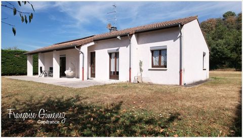 Dpt Isère (38), à vendre proche de CHANAS maison P5 de 108 m² - Terrain de 3 400,00 m² - Plain pied