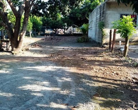 Located in the quiet pueblo of La Palma this 300m2 lot is located along a tranquil street and is a great location for those looking to be surrounded by nature but still yet close to town. This property is located 5 minutes from the town center and on...