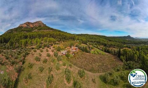 Se vende finca rÃºstica con vistas al mar. Con una hectÃ¡rea de terreno con vistas al mar de Estartit y Pals, encontraremos en en massÃ­s del MontgrÃ­, una casa con una habitaciÃ³n, un gran salÃ³n comedor con chimenea para celebrar eventos, cocina in...