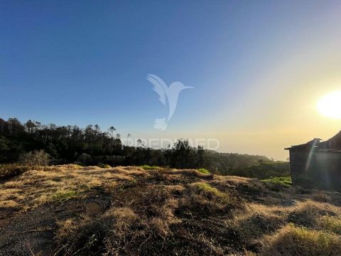 This land with 3 ruined stone houses has a magnificent sea and mountain views, excellent sun exposure, where it is possible to make a project tailored to your needs. Located in an easily accessible area, close to the expressway and essential services...