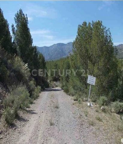 Gran extensión de sierras, ramblas y ramblizos, poco habitadas y en buen estado de conservación. Destacan restos de carrascales en algunas cumbres y pinares autóctonos maduros en las umbrías, muestra de los antiguos pinares que poblaron toda estas zo...