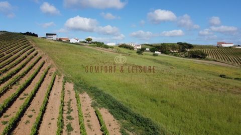 Terrain rustique situé dans un endroit calme et paisible, à environ 15 minutes de la ville de Torres Vedras et à environ 15 minutes des plages.Inséré dans une zone de production de vin.La propriété dispose d´un étang pour l´utilisation de l´eau de pl...