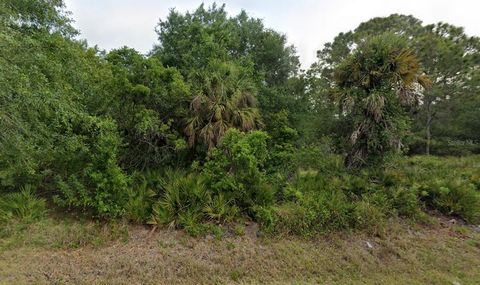 Discover the perfect canvas for your dream home at 23414 Elmira Blvd in Port Charlotte. This spacious lot, situated in a tranquil neighborhood close to amenities, offers ample space to design and build your ideal residence. Once cleared it will be th...