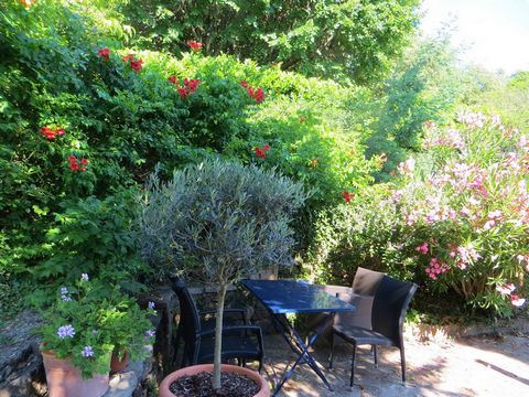 photo no. 22