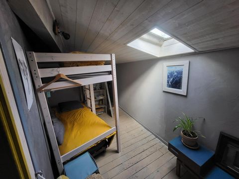 photo no. 7