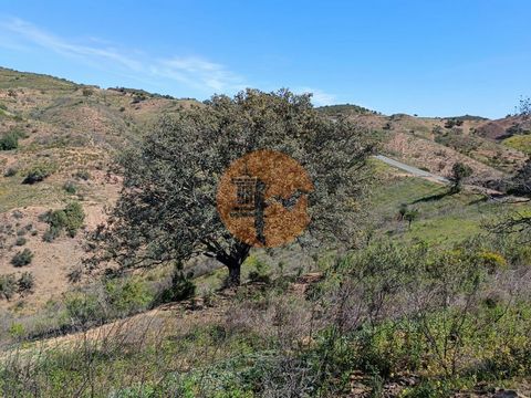 Grundstück mit 43.560m² in der Nähe von Alta Mora - Odeleite - Castro Marim - Algarve. Grundstück mit einigen Bäumen. Guter Zugang. Stream-Ansicht. Grundstück mit freiem Blick auf die Berge der Algarve. Möglichkeit, ein Lager und/oder eine landwirtsc...