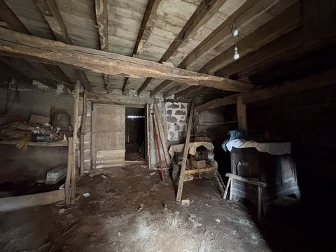 photo no. 7