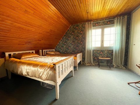 photo no. 6