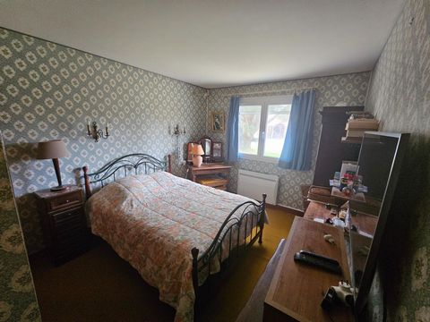 photo no. 6
