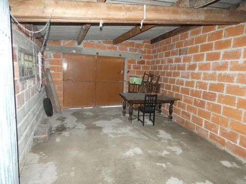 photo no. 9