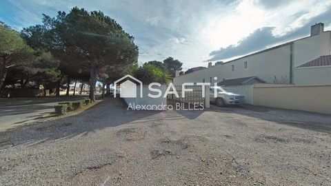 photo no. 10