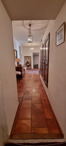 photo no. 5