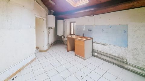 photo no. 6