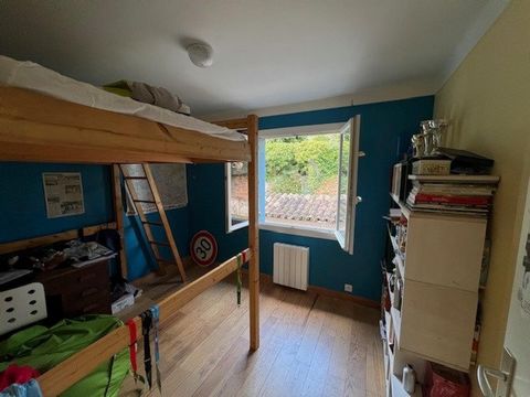 photo no. 9