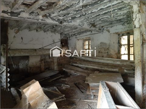 photo no. 9