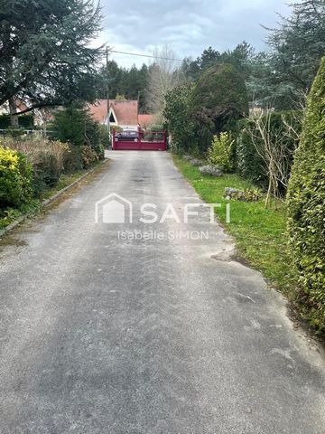 photo no. 11