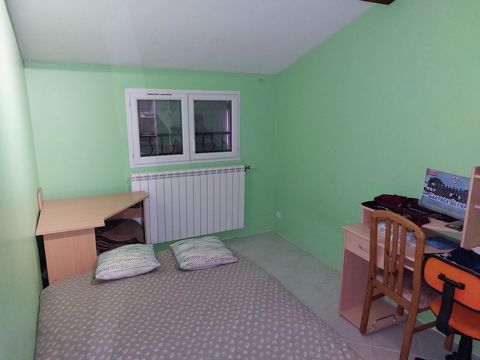 photo no. 8