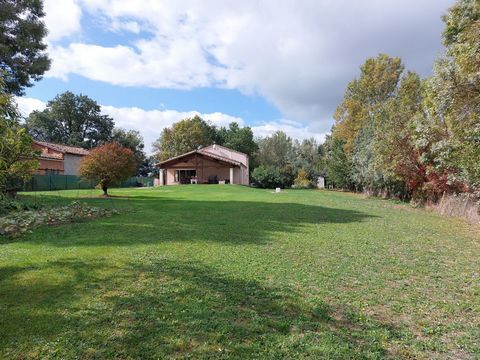 photo no. 10