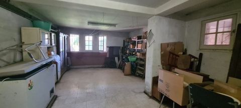 photo no. 11