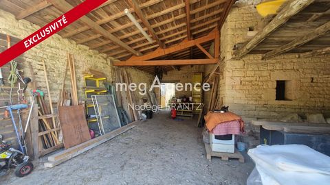photo no. 16