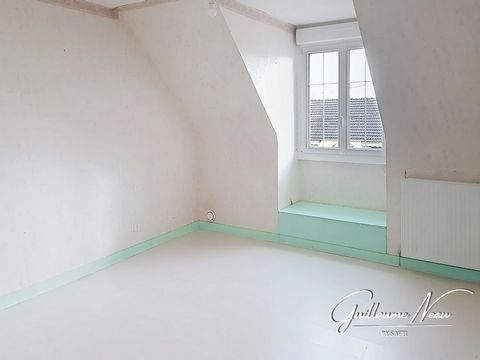 photo no. 8