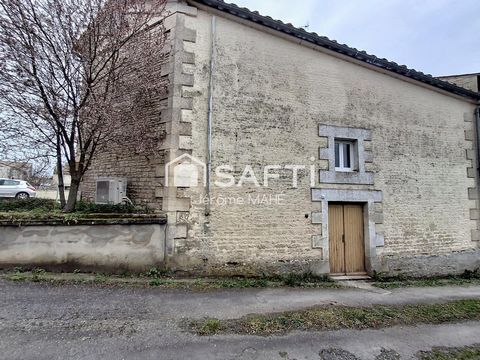 photo no. 8