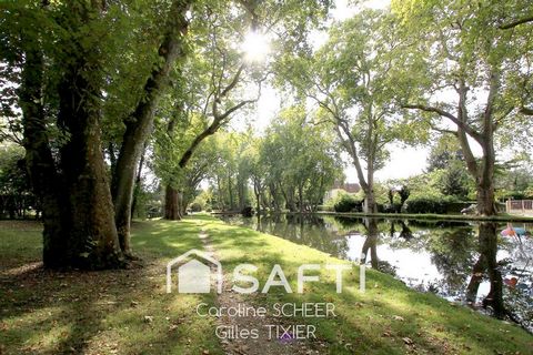 photo no. 11