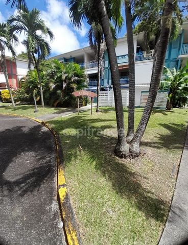 Vente Studio Investissement Locatif aménagé Sainte Anne