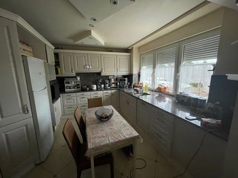 photo no. 12