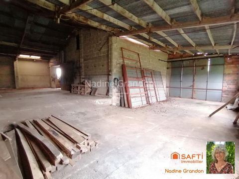 photo no. 13