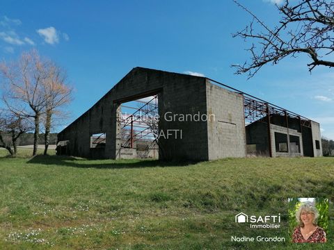 photo no. 18