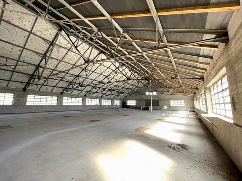 photo no. 10