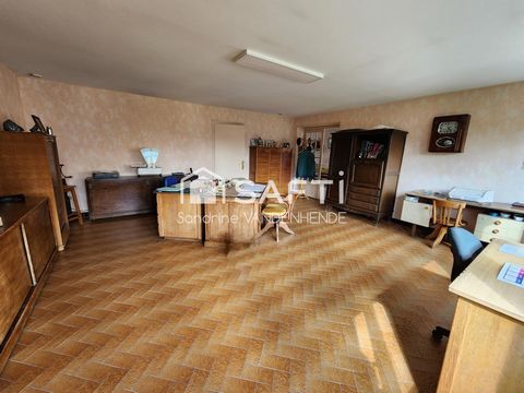 photo no. 16