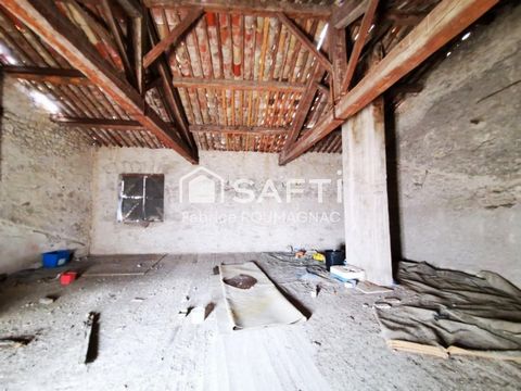 photo no. 11