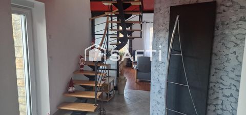 photo no. 11