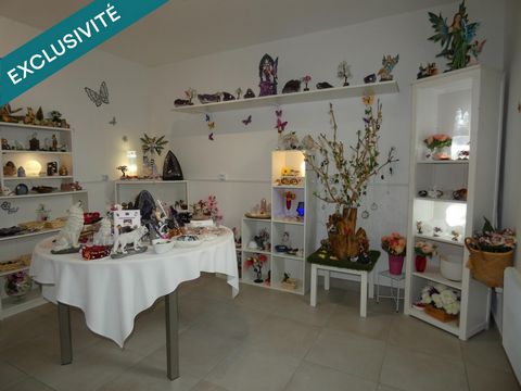 photo no. 12