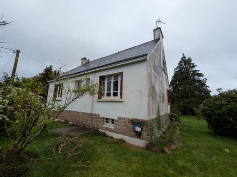 photo no. 2