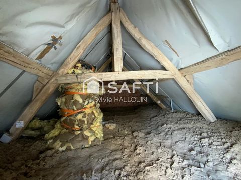 photo no. 7