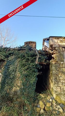 photo no. 1