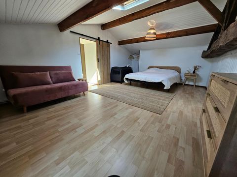 photo no. 12