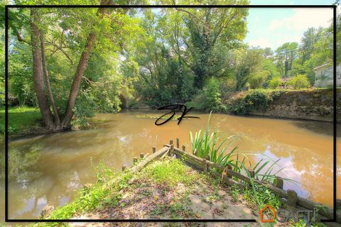 photo no. 14
