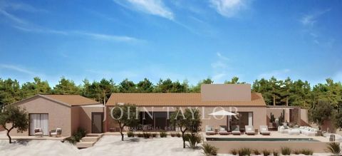 Ubicada en la zona de Pego, en Lagoa Formosa, a solo 5 minutos a pie de la emblemática Playa de Pego y junto a los arrozales que definen el paisaje único de Comporta , esta villa se entregará completamente terminada y lista para entrar a vivir. Con u...