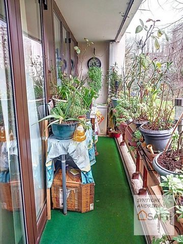 photo no. 14